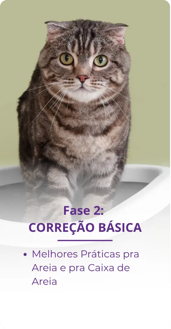 Fases do método para corrigir xixi fora da caixa
