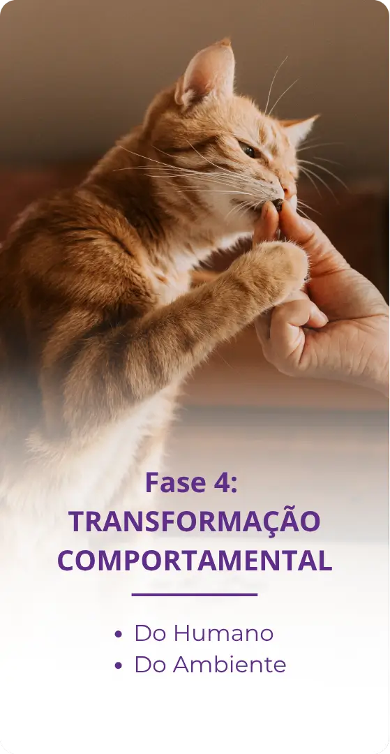 Fases do método para corrigir xixi fora da caixa