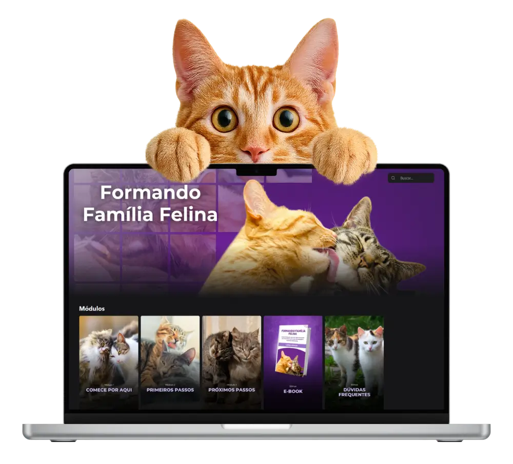 Curso Formando Família Felina no notebook e celular